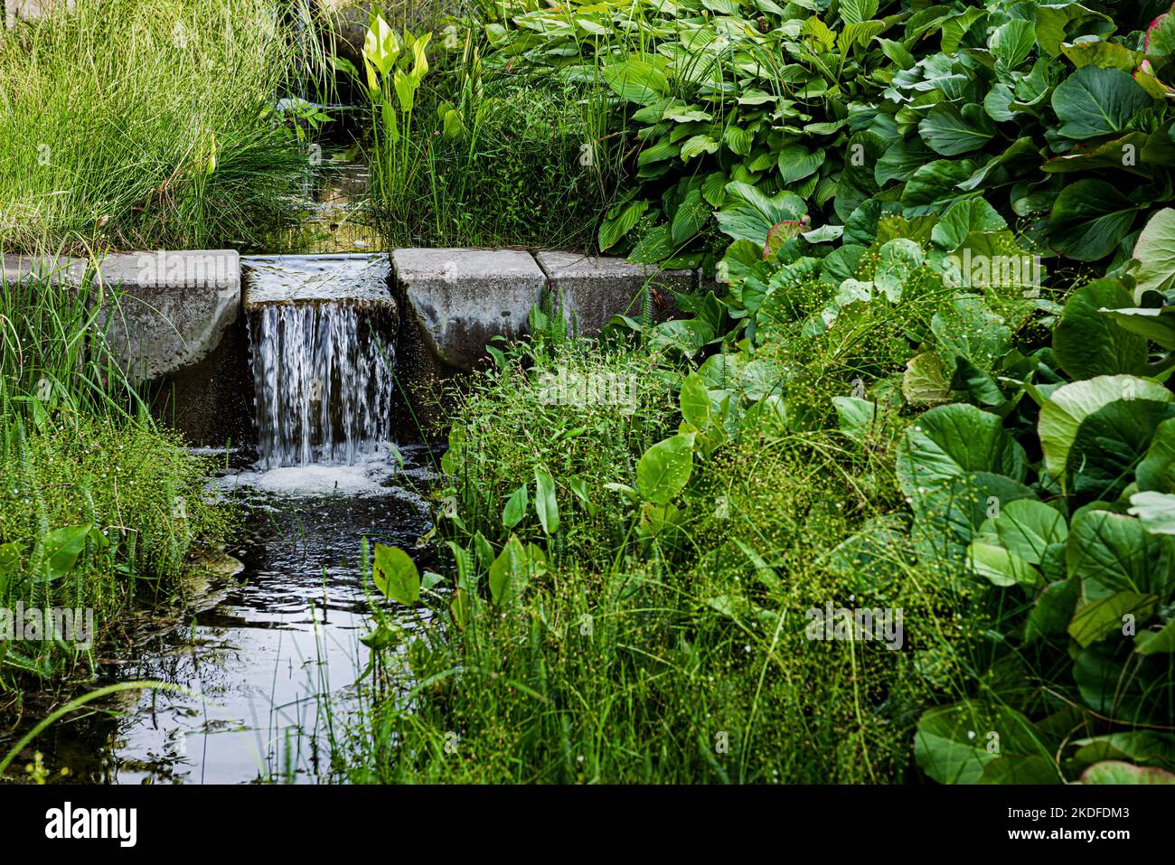 The small waterfall. Park stream among the grass. Stock Photo