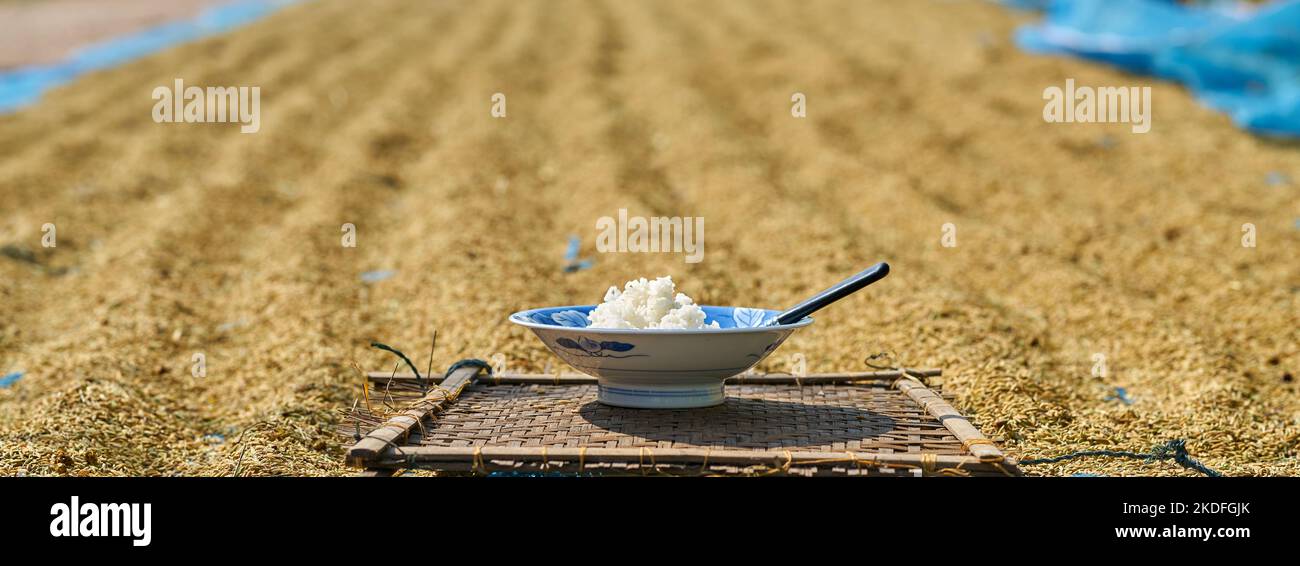 Drying rice by the roadside in rural Thailand Stock Photo - Alamy