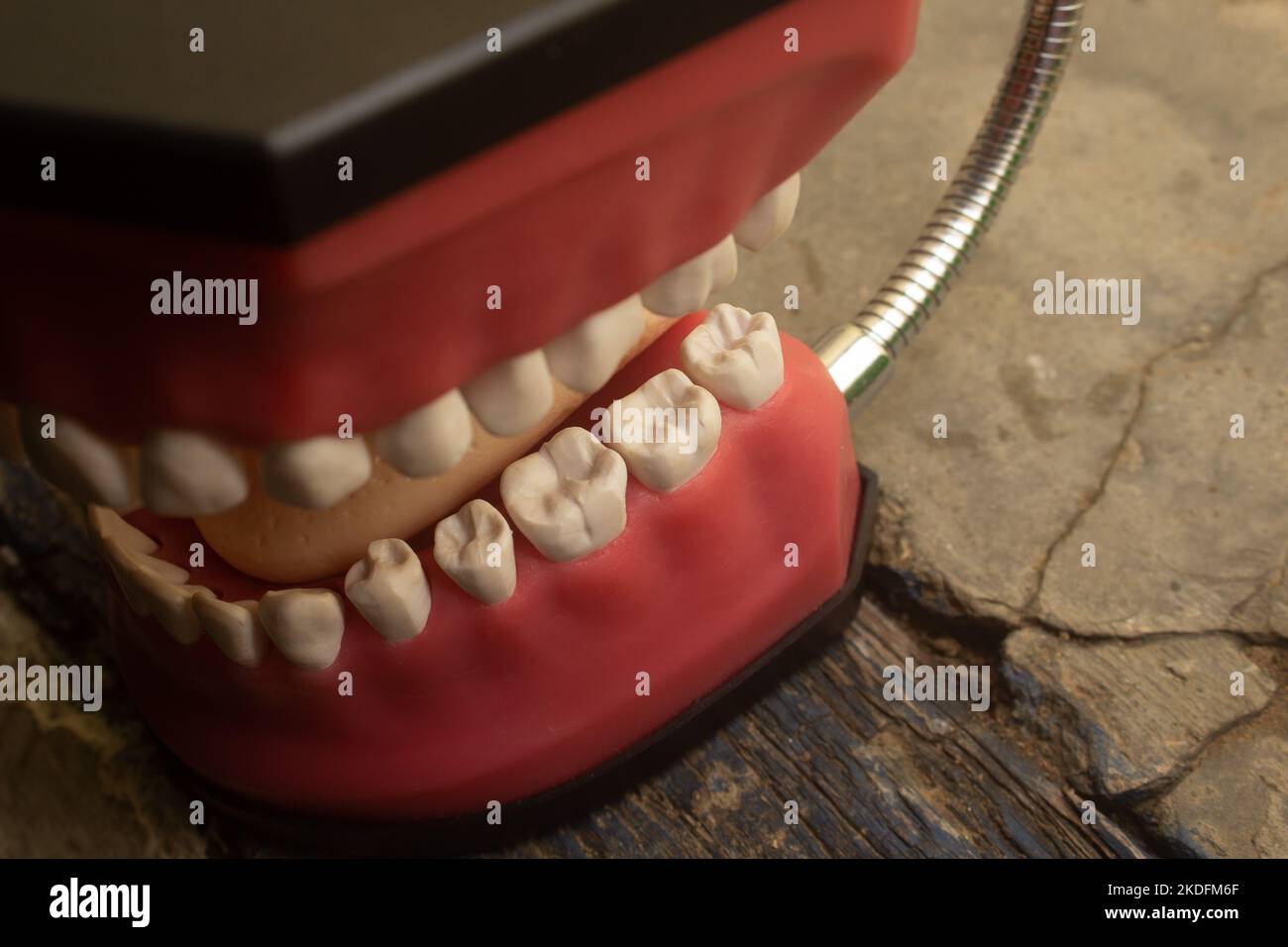 The medical dentures made of acrylic Stock Photo Alamy