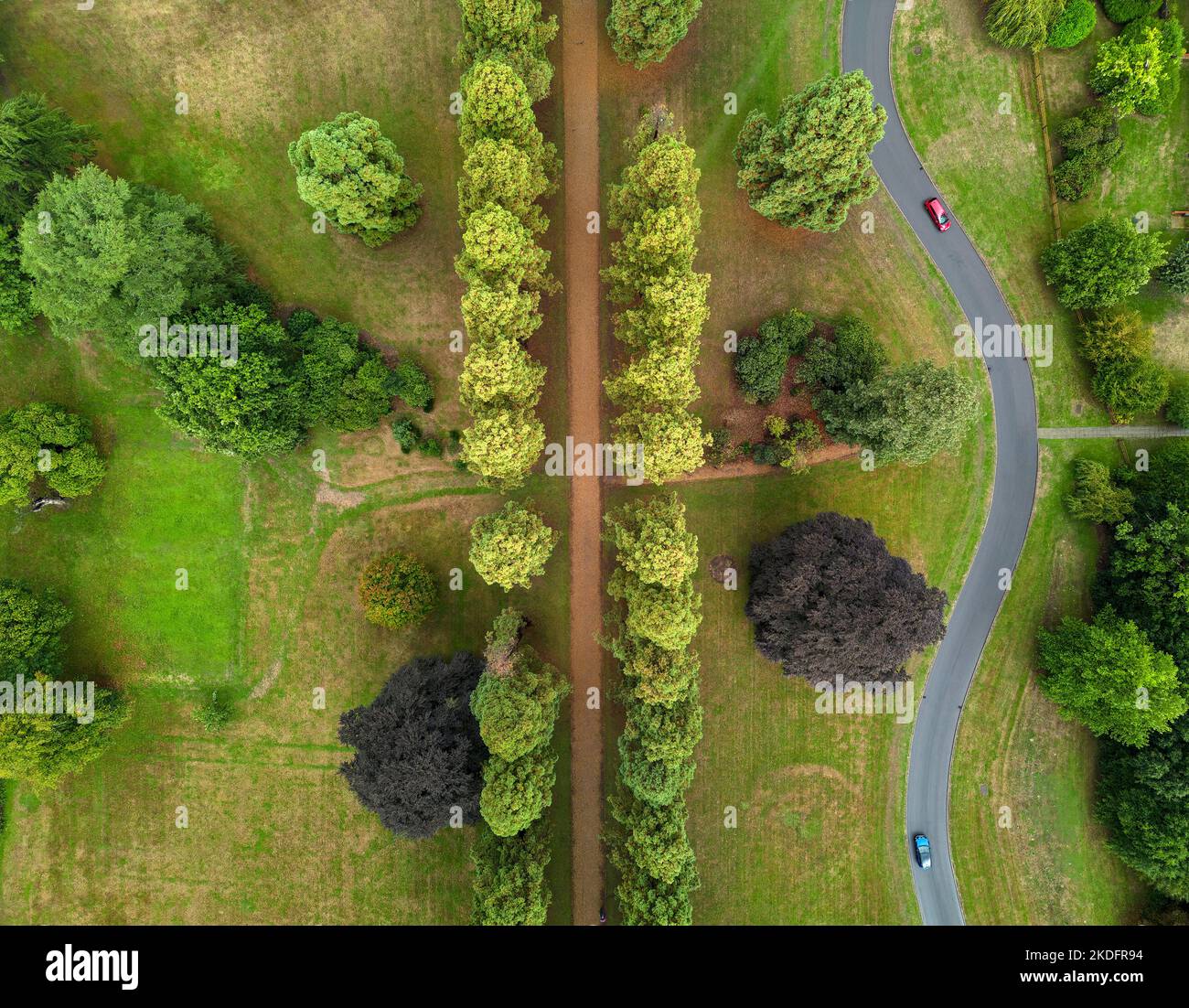 Royal Earlswood Park drive with Giant Redwoods and access road Redhill