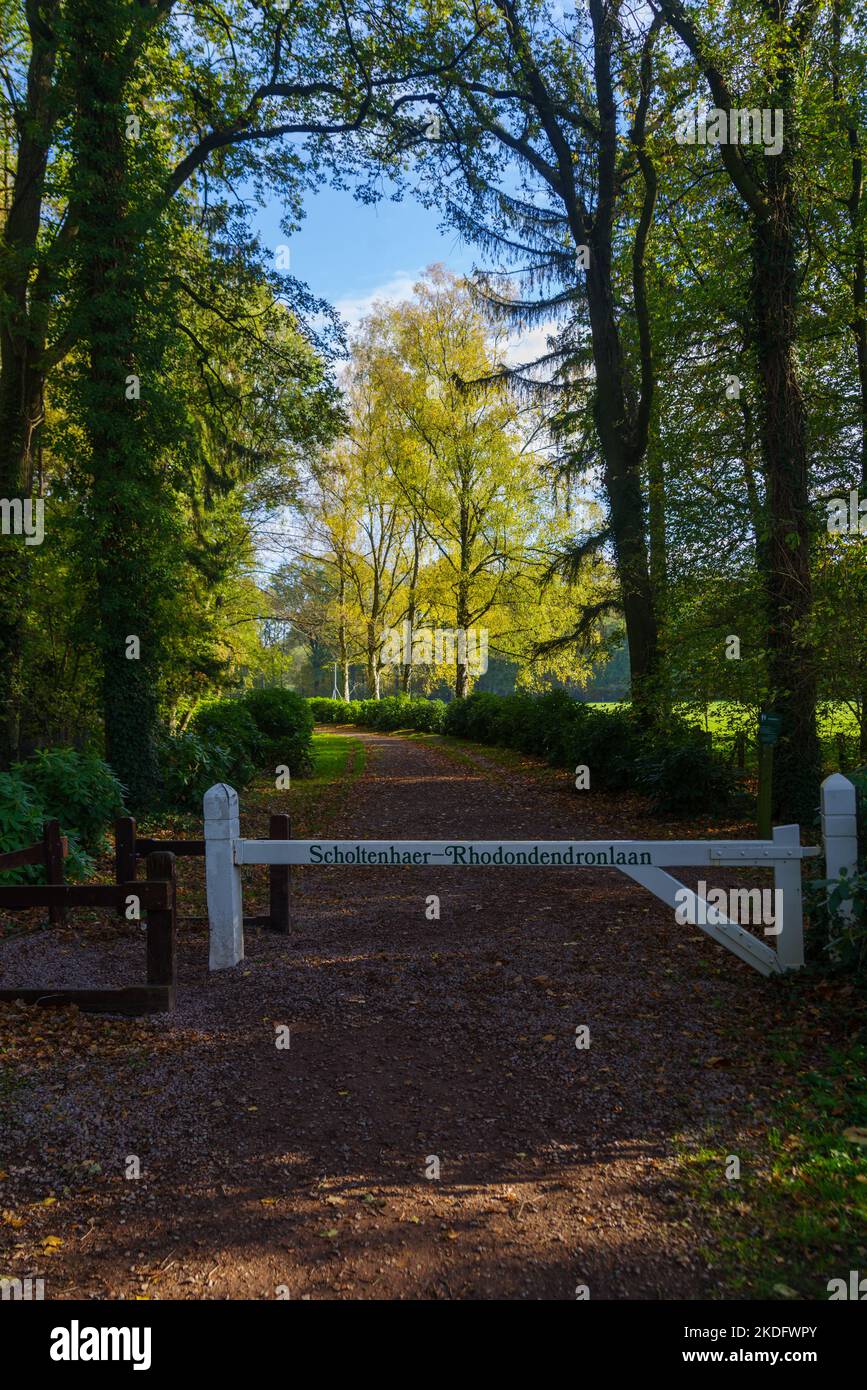 entrance of a small hiking trail rhodondendron avenue (rhodondendronlaan) in the netherlands Stock Photo