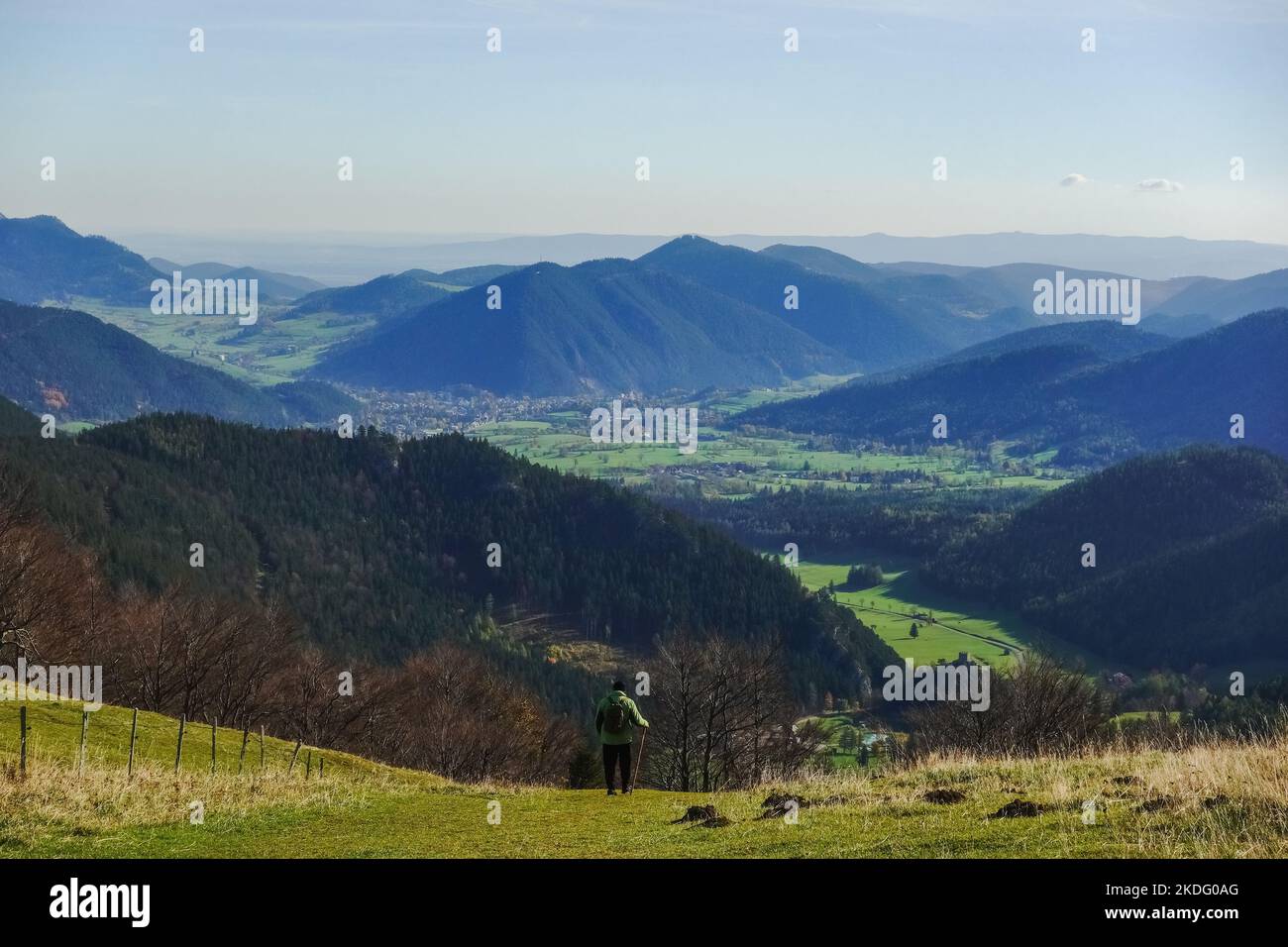 single hiker on a meadow walking downhill in the mountains detail view Stock Photo