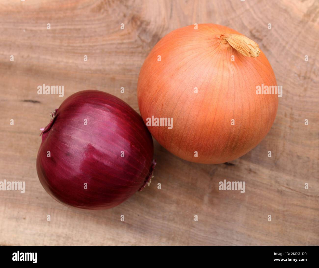 A Red and Yellow Onion on a Black Walnut Wood Background Stock Photo