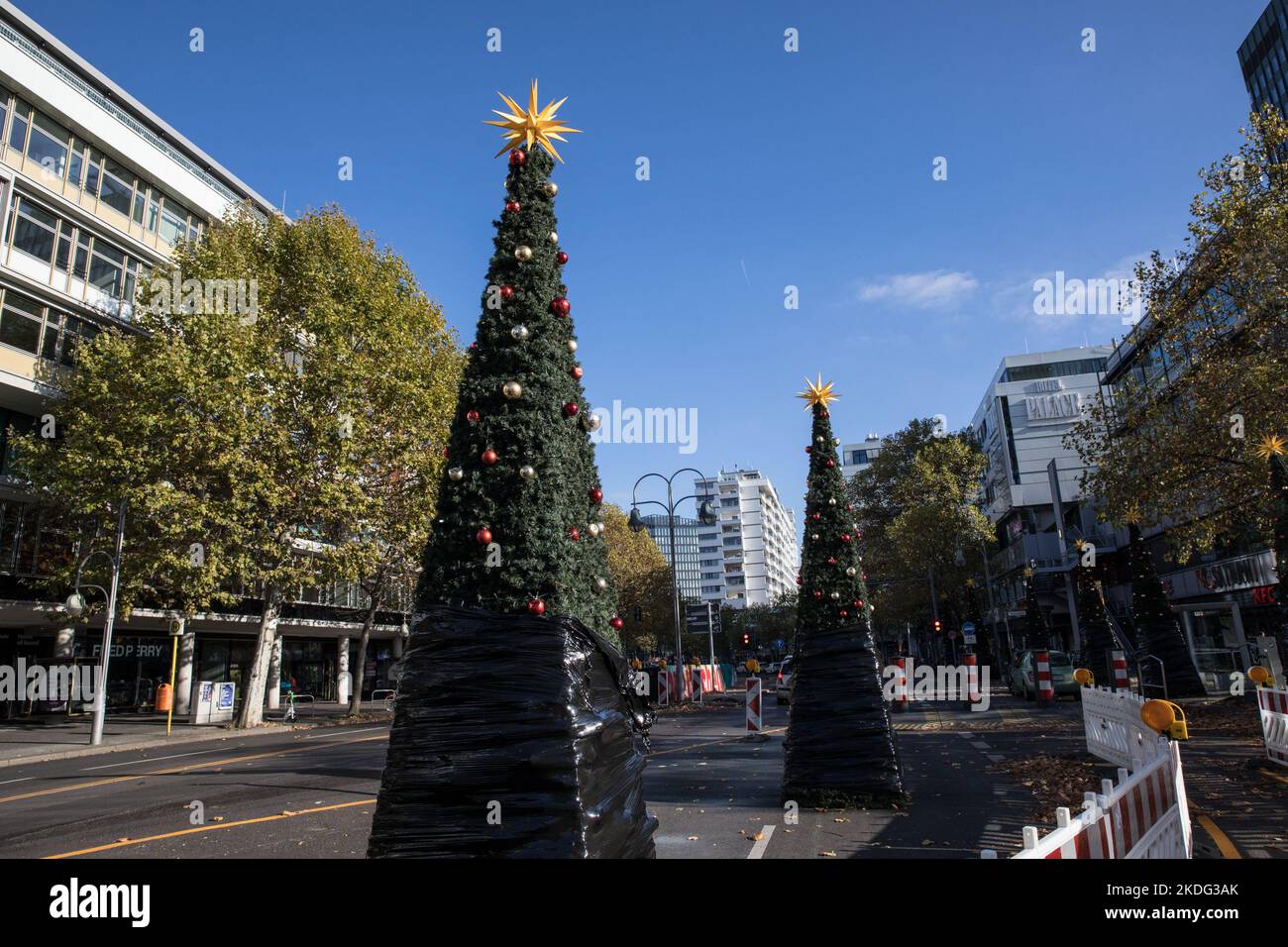 14 Dezember 2019, Brandenburg, Tempelberg: Zwei Weihnachtsbäume in einem  Netz liegen auf einem Dach Auto verpackt und wurden ordnungsgemäß mit einem  Spanngurt befestigt. Foto: Patrick Pleul/dpa-Zentralbild/ZB Stockfotografie  - Alamy