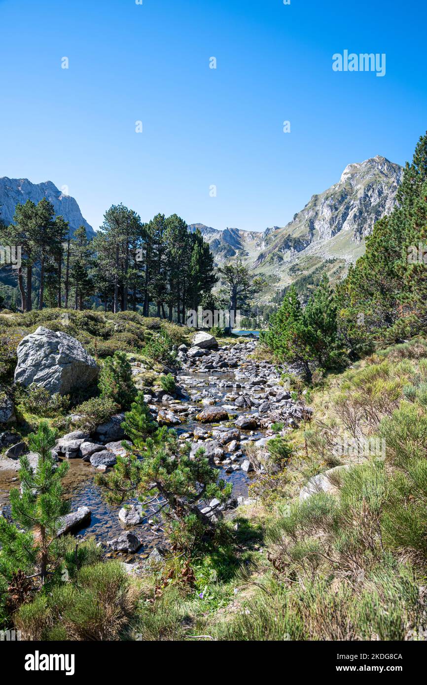 Vertical landscape with a river coming from the Laurenti Lake in Ariège ...