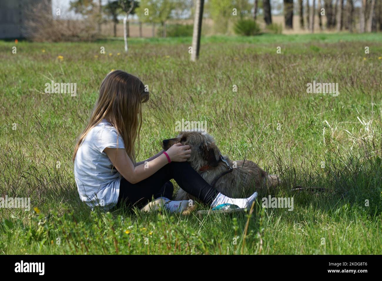 A girl playing with her dog in a meadow Stock Photo - Alamy