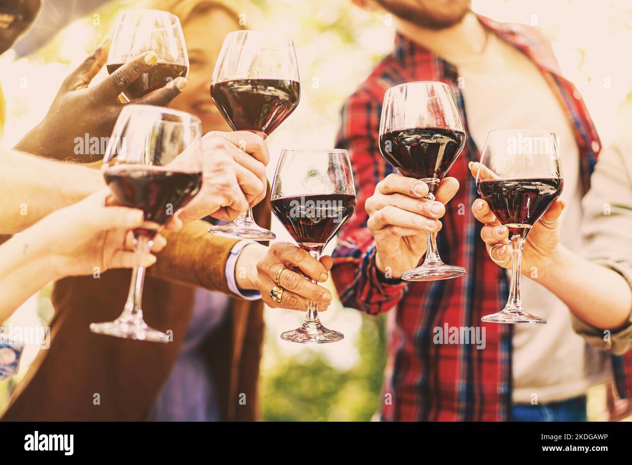 best friends raising wine glasses toasting and celebrating friendship together - crop shot - closeup on the glasses - group of people cheering at farm Stock Photo