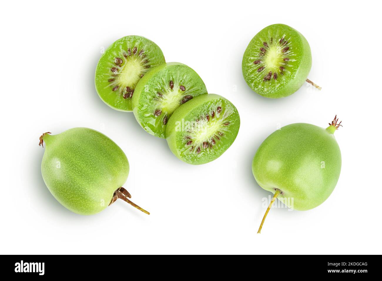 Kiwiri 's Kiwibær Trio - 3 Kiwiplanter (Actinidia Arguta) - Mini Kiwi - Sortgaranti Direkte Fra