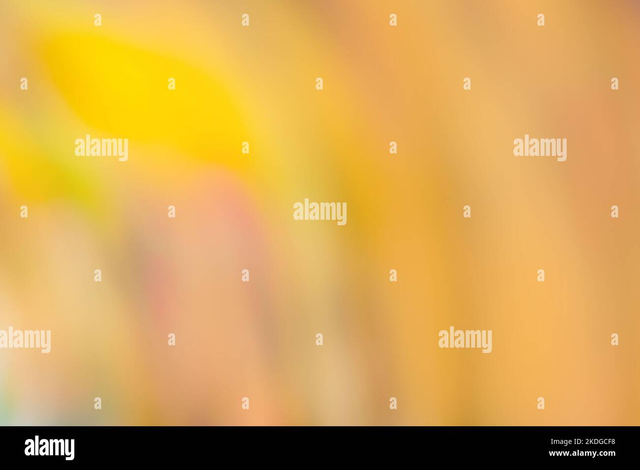 Pastel background pattern hi-res stock photography and images - Alamy
