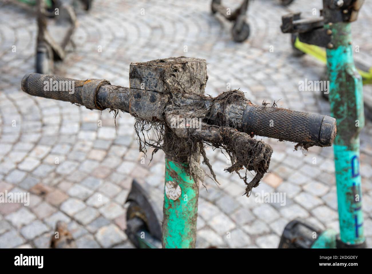Seaweed covered handle bars of salvaged rental e-scooter in Stockholm, Sweden Stock Photo