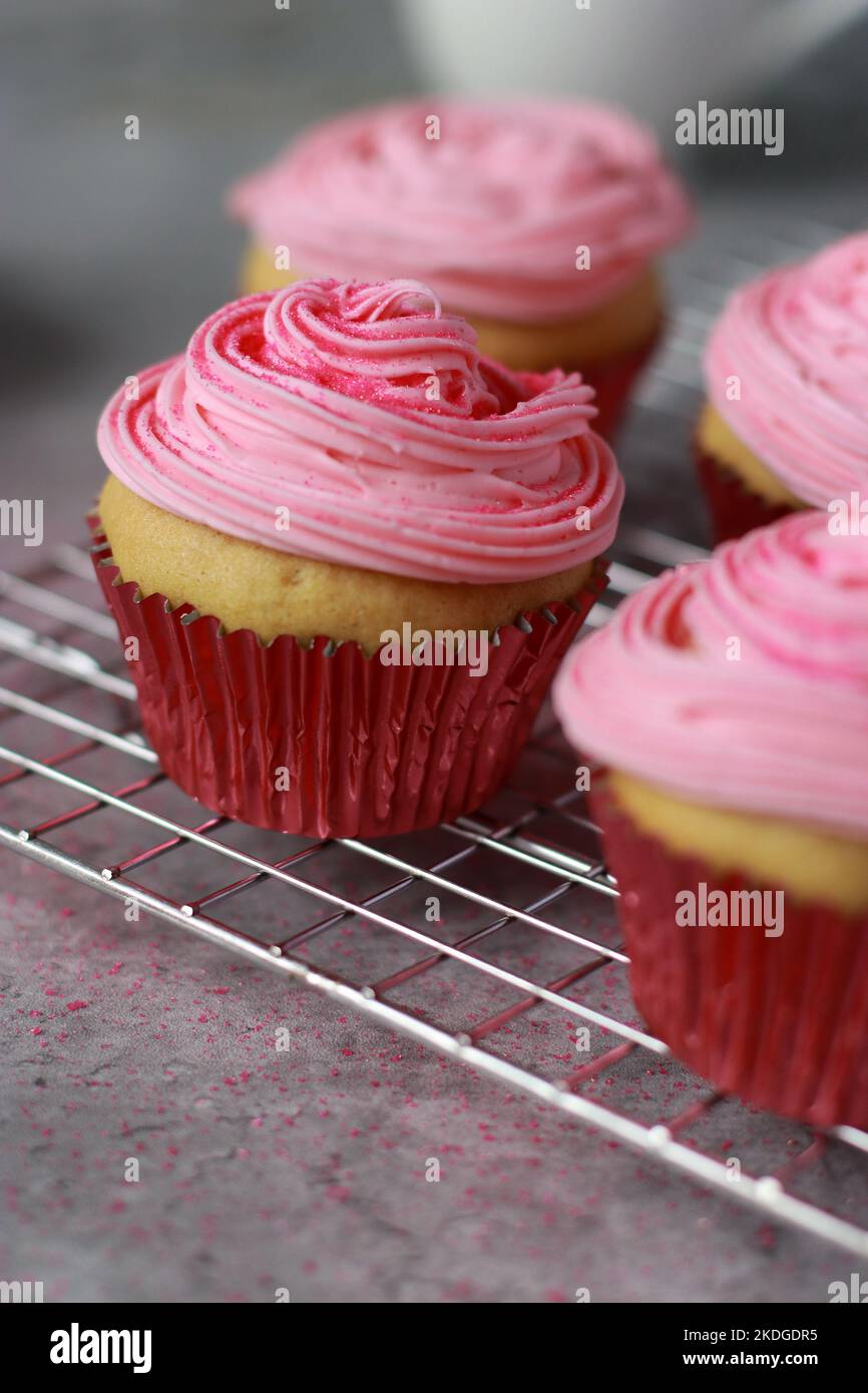 Pink muffins hi-res stock photography and images - Alamy