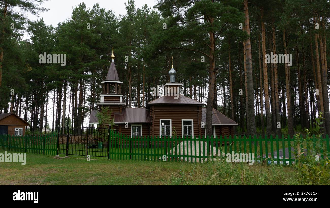 Wooden church in a village in a forest surrounded by pine trees. Two domes of gold and silver, a bell tower. Modern church, photography, Russia. Stock Photo
