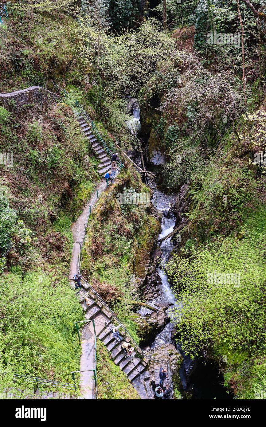 The Walks  Devils Bridge Falls