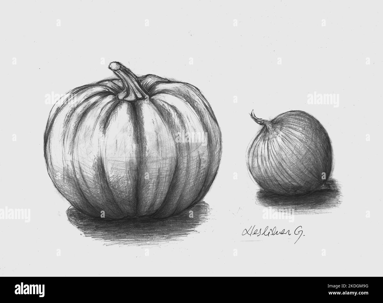 Charcoal painting of pumpkin and onion. Signed. Painted by the photographer. Stock Photo