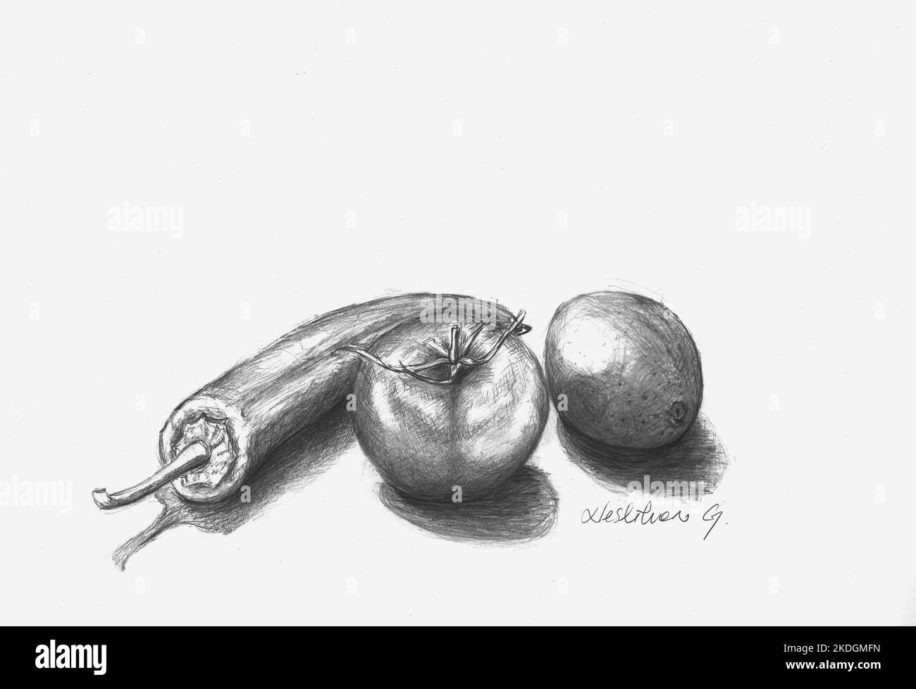 Charcoal painting of vegetables. Signed. Green pepper, tomato and lemon. Painted by the photographer. Stock Photo