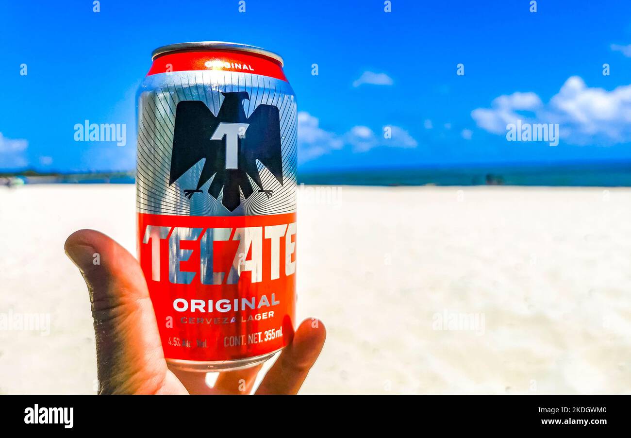 Drinking a can of cold beer Tecate red on the beach in paradise in Playa del Carmen Quintana Roo Mexico. Stock Photo