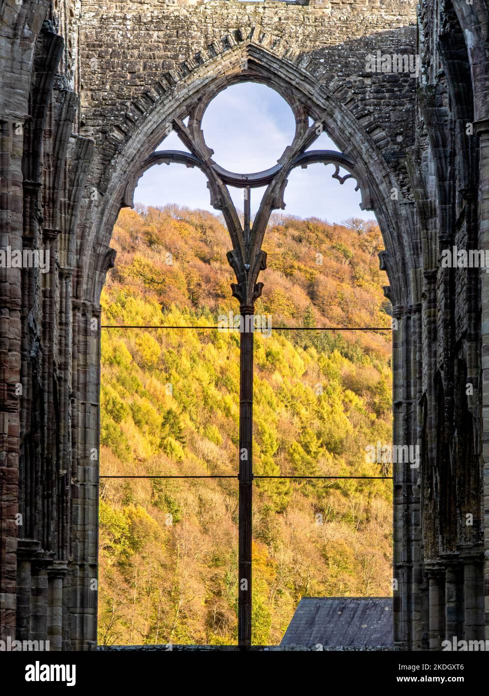 Ruins of an ancient 12th century monastery in the autumn (Tintern Abbey, Wales) Stock Photo