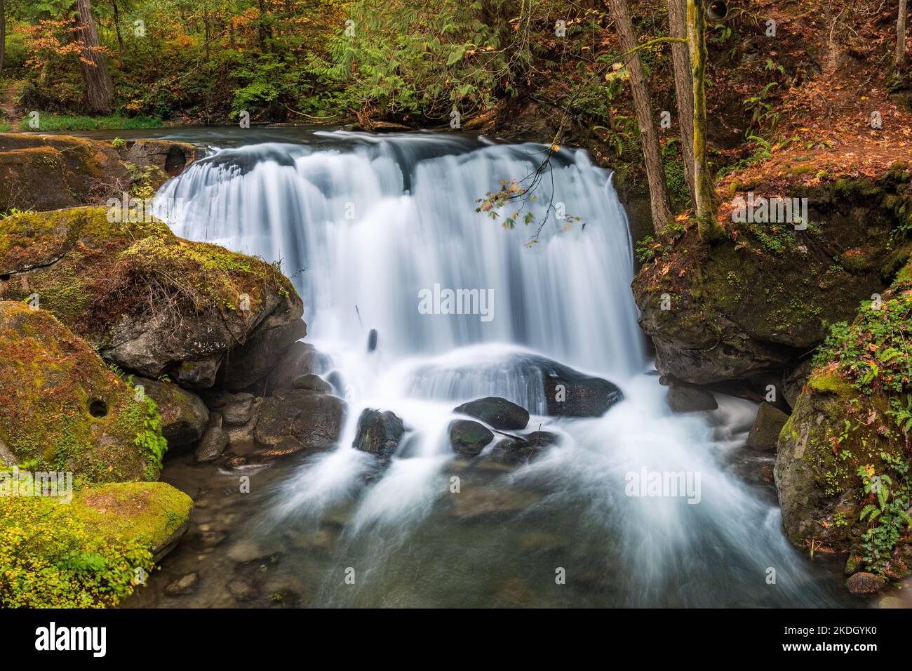 Whatcom Falls in Bellingham Washington on a autumn day Stock Photo