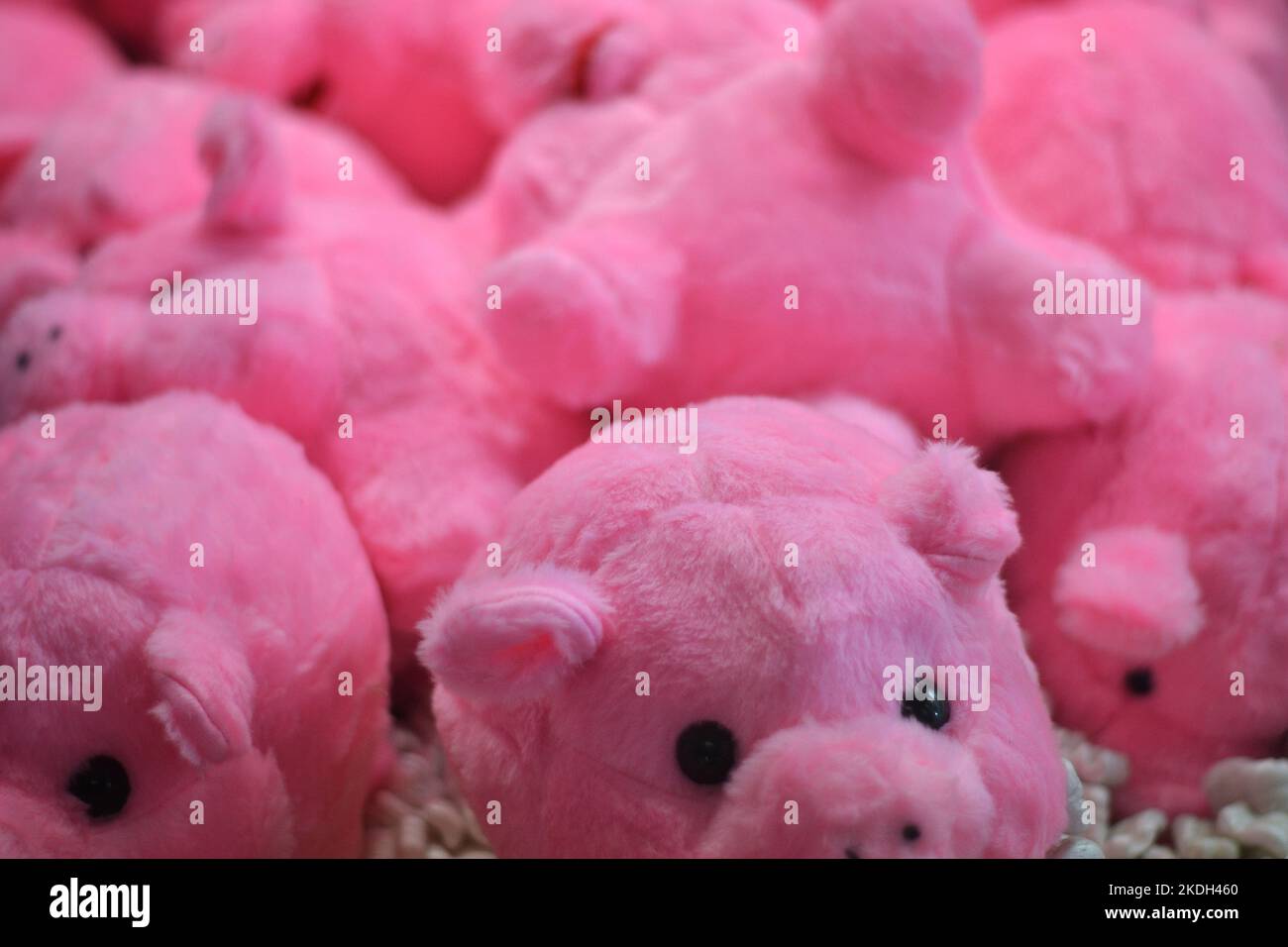 Peluches hi-res stock photography and images - Alamy