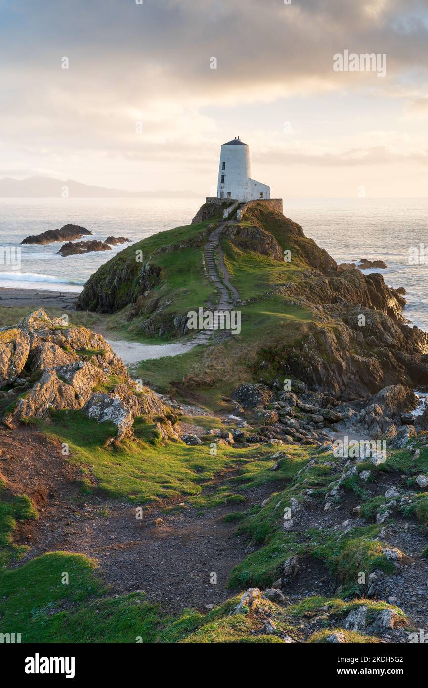 Rich golden light highlights the rocky landscape surrounding Twr Mawr Lighthouse on Llanddwyn Island on a beautiful autumn evening. Stock Photo