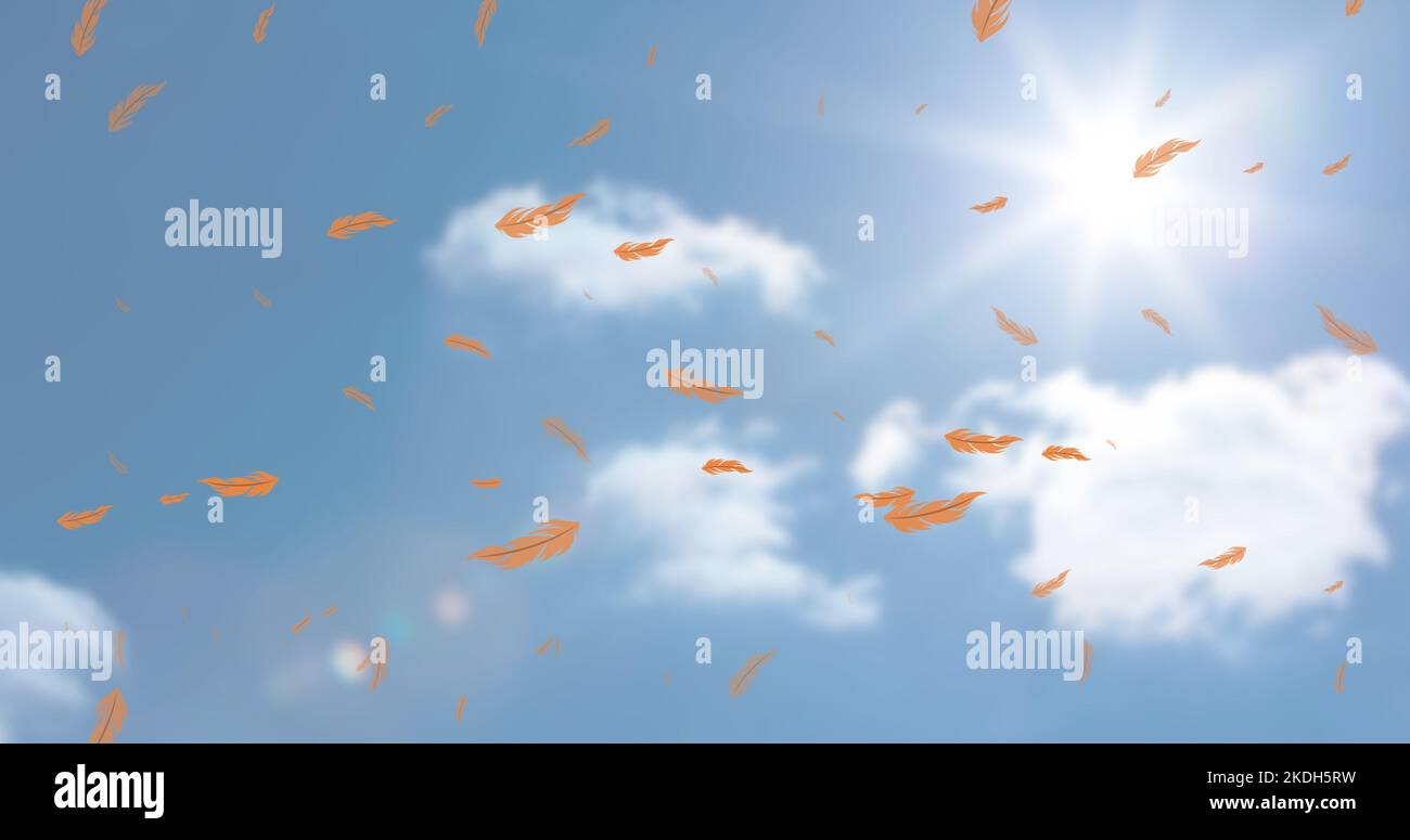Digital composite of orange feathers flying against clouds and bright sun in sky, copy space Stock Photo