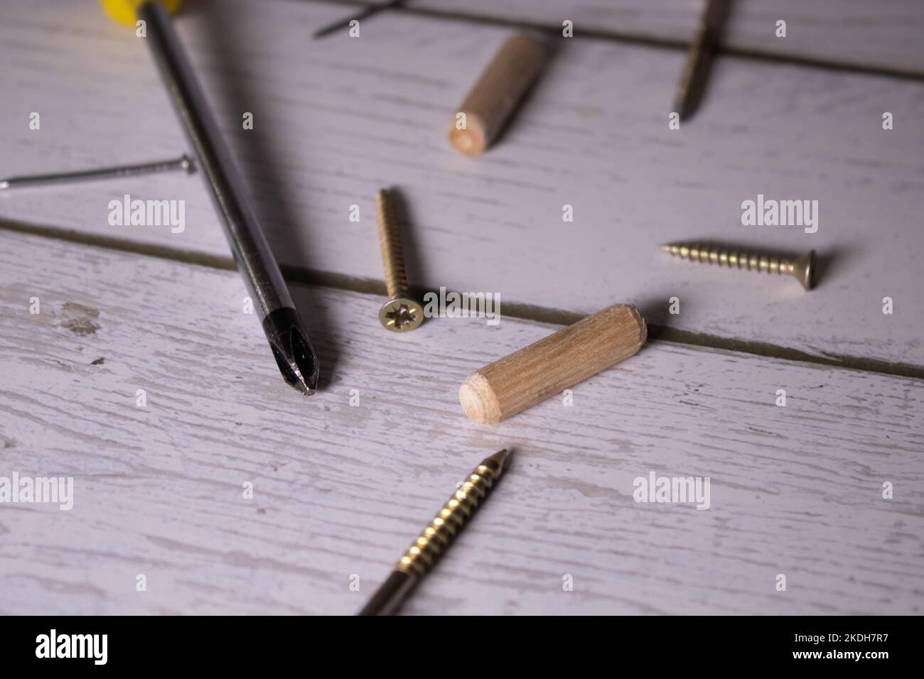 screwdriver, wooden dowels and selftapping screws Stock Photo Alamy