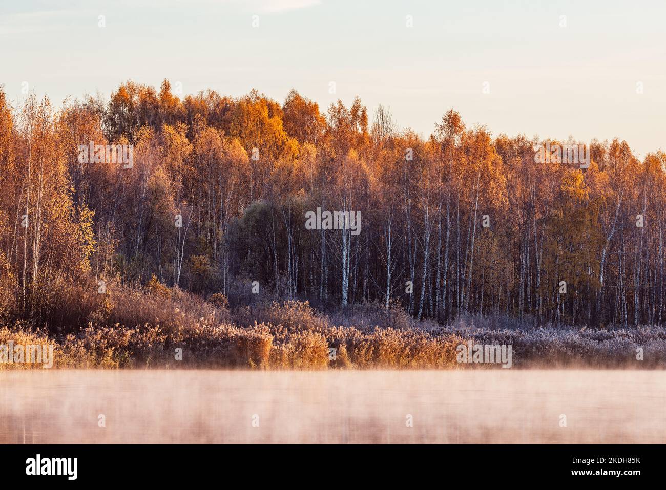 Fog above the lake at cold autumn morning Stock Photo - Alamy