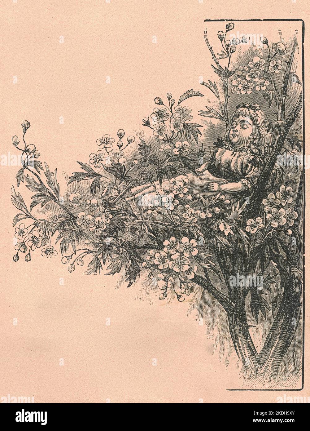 Black & white antique illustration shows a girl lying on a branch ...