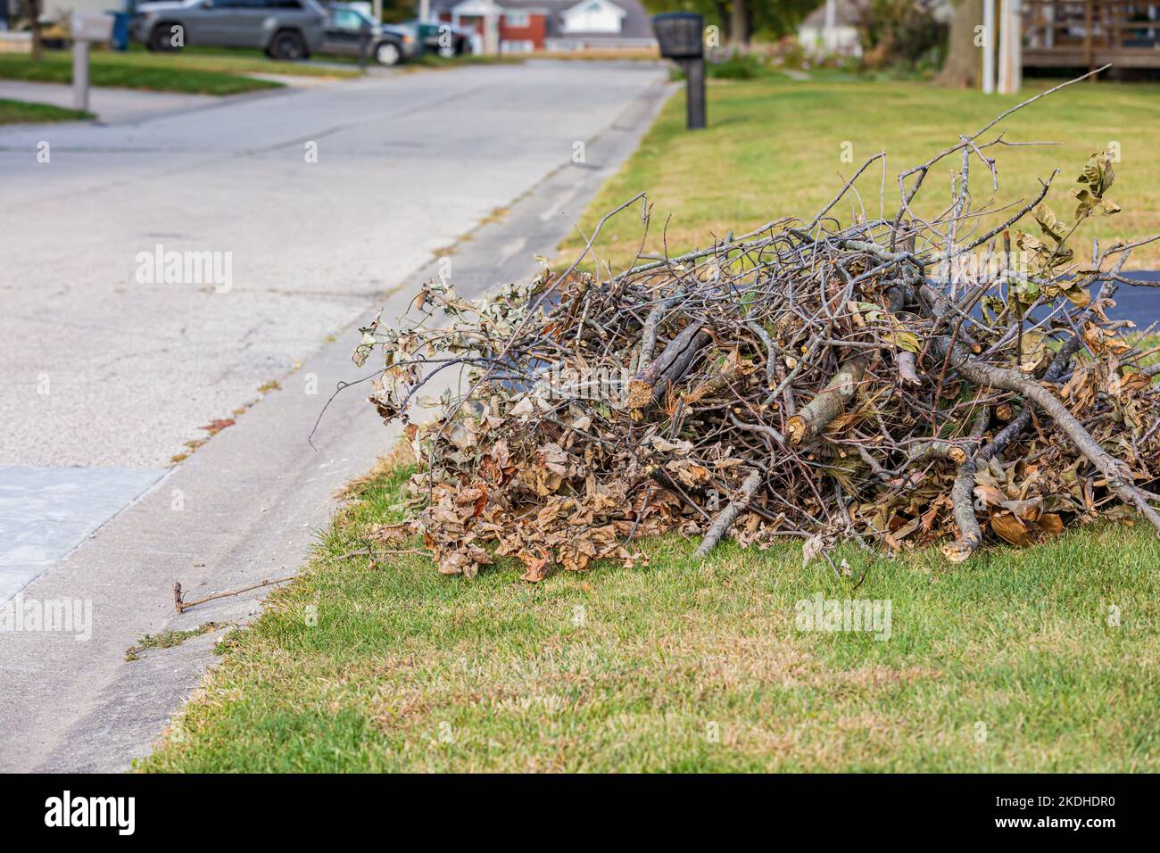 Branch and limb pile along street. Curbside branch pickup, collection