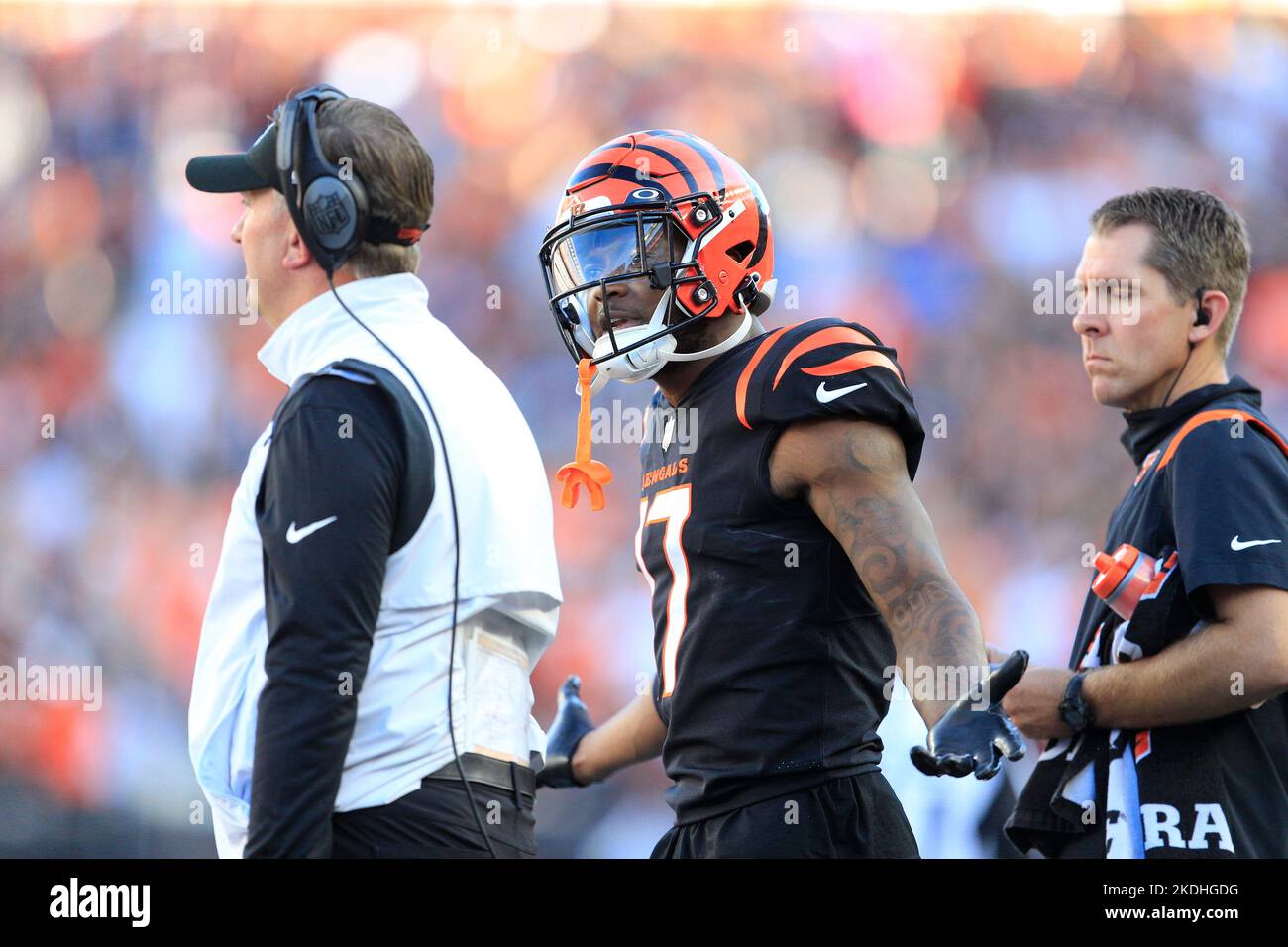 Cincinnati, Ohio, USA. 6th Nov, 2022. Stanley Morgan (17) of the Cincinnati Bengals argues with special teams coach on the sideline during WEEK 9 of the NFL regular season between the Carolina Panthers and Cincinnati Bengals in Cincinnati, Ohio. JP Waldron/Cal Sport Media/Alamy Live News Stock Photo