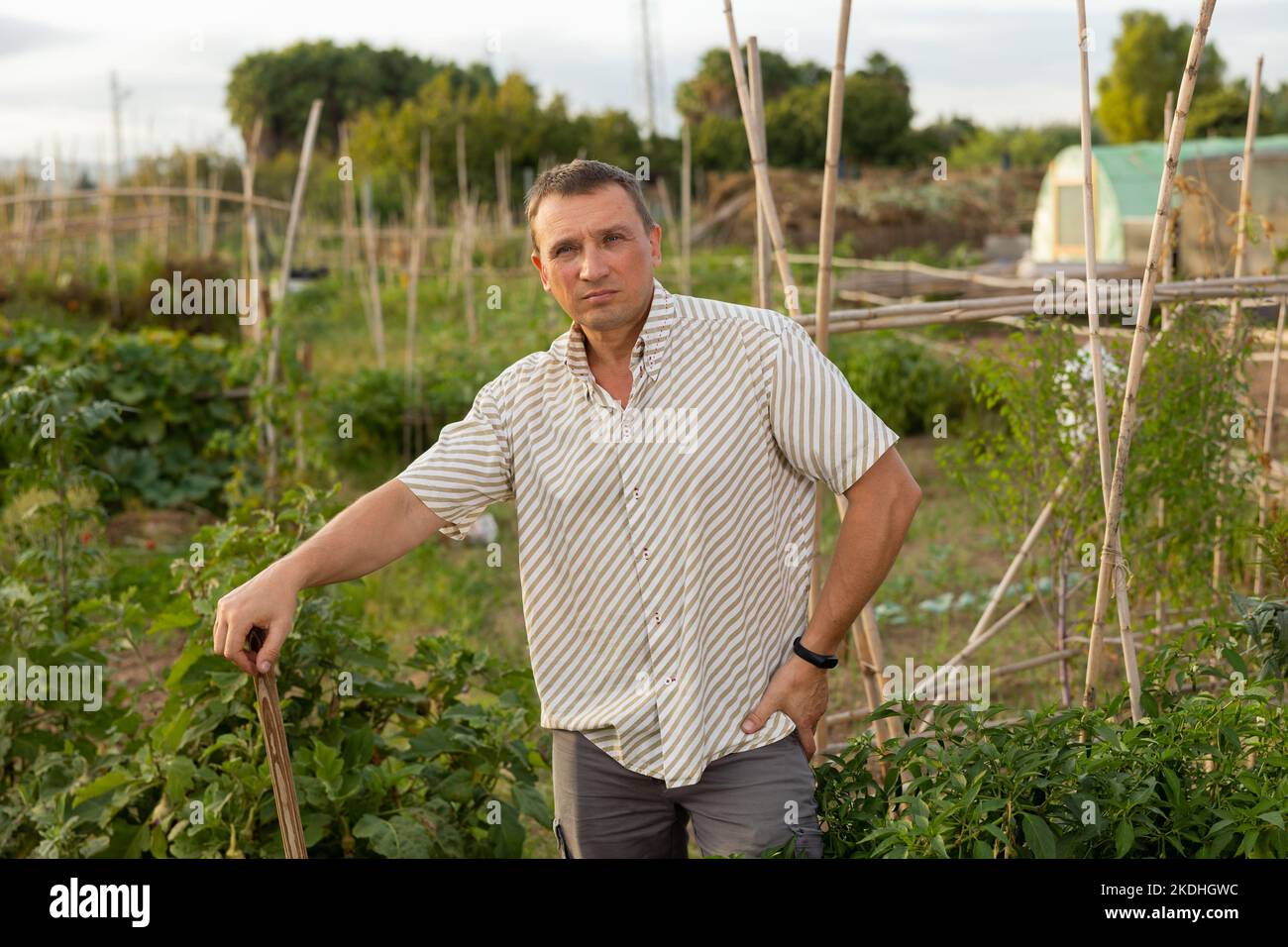 Male farmer farmer with rake standing at farm outdoor Stock Photo - Alamy