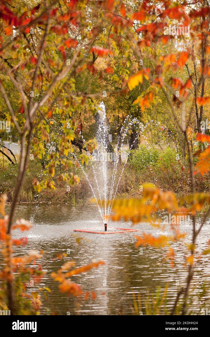 Fountain surroundd by bright and colorful autumn foliage at the park. Colored leaves in the fall season. Pond at the public park in the autumn colors. Stock Photo