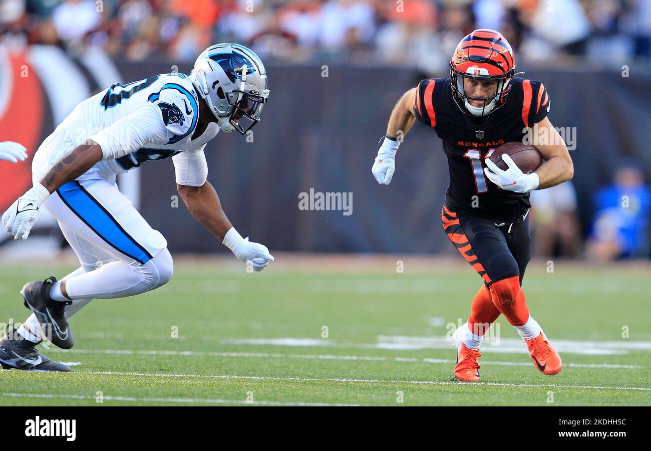 Photo: Bengals Trent Taylor makes the catch under pressure - KYP20221106026  