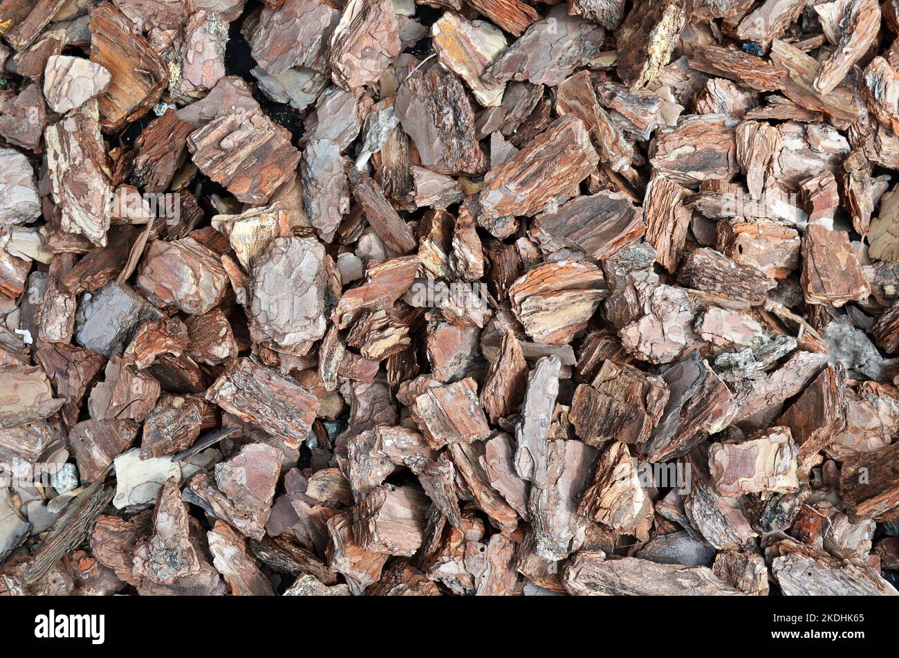 Pine bark mulch background texture, full frame. Used as a soil covering