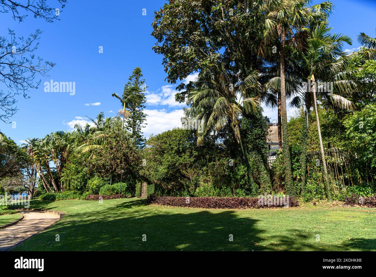 A footpath leading through the lawns and trees of McKell Park at Darling Point in the Sydney