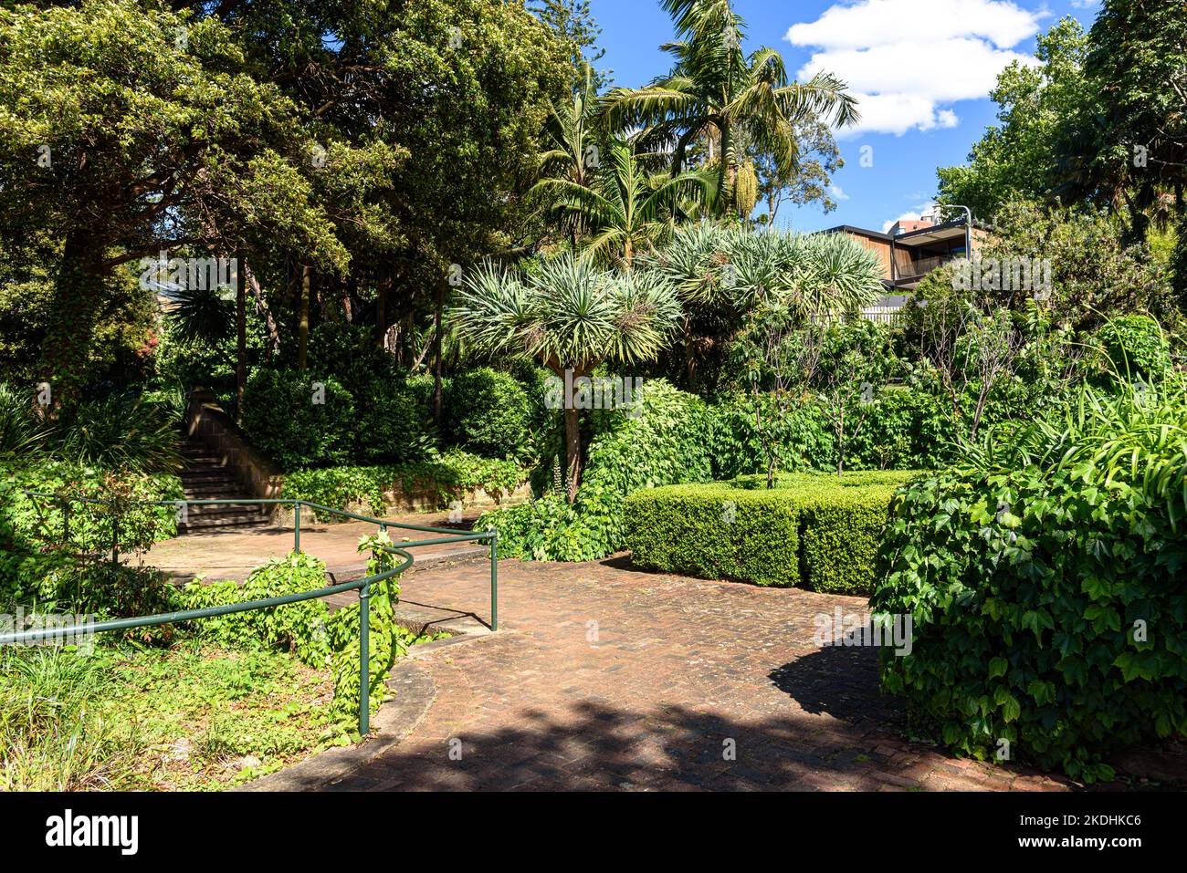 A footpath leading through the lawns and trees of McKell Park at Darling Point in the Sydney