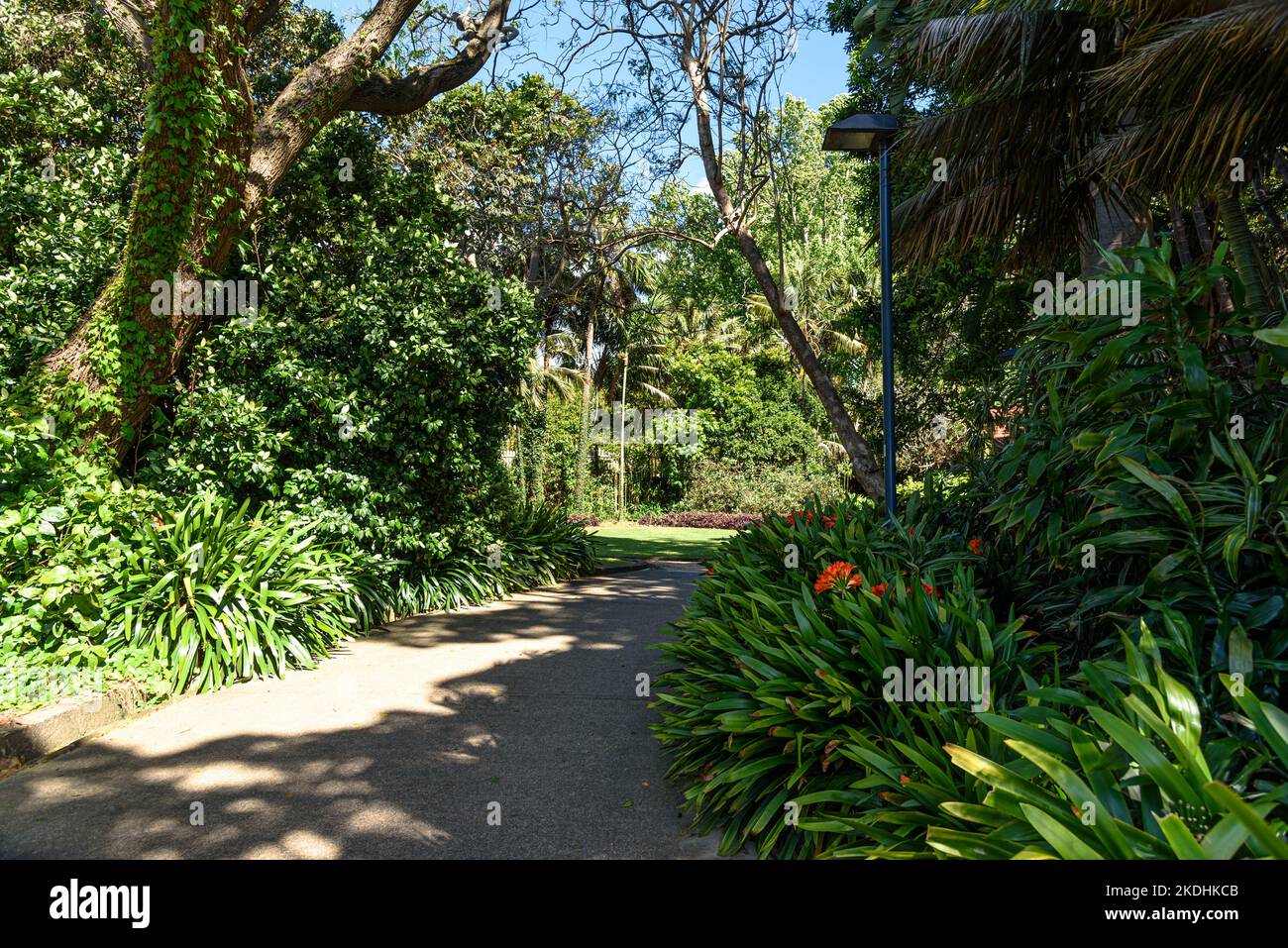 A footpath leading through the lawns and trees of McKell Park at Darling Point in the Sydney