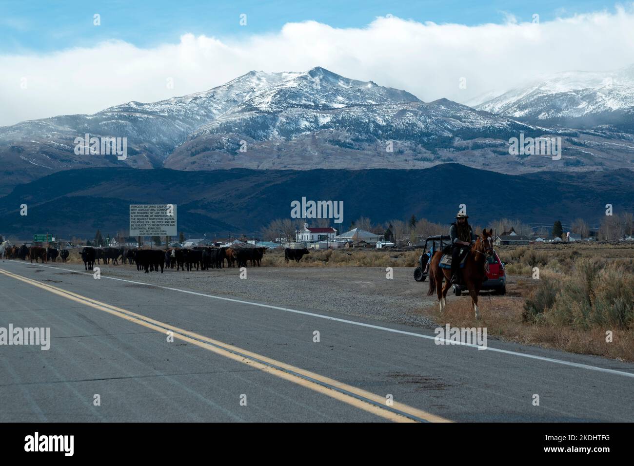 The Hunewill Ranch Cattle Drive happens every year in November out of