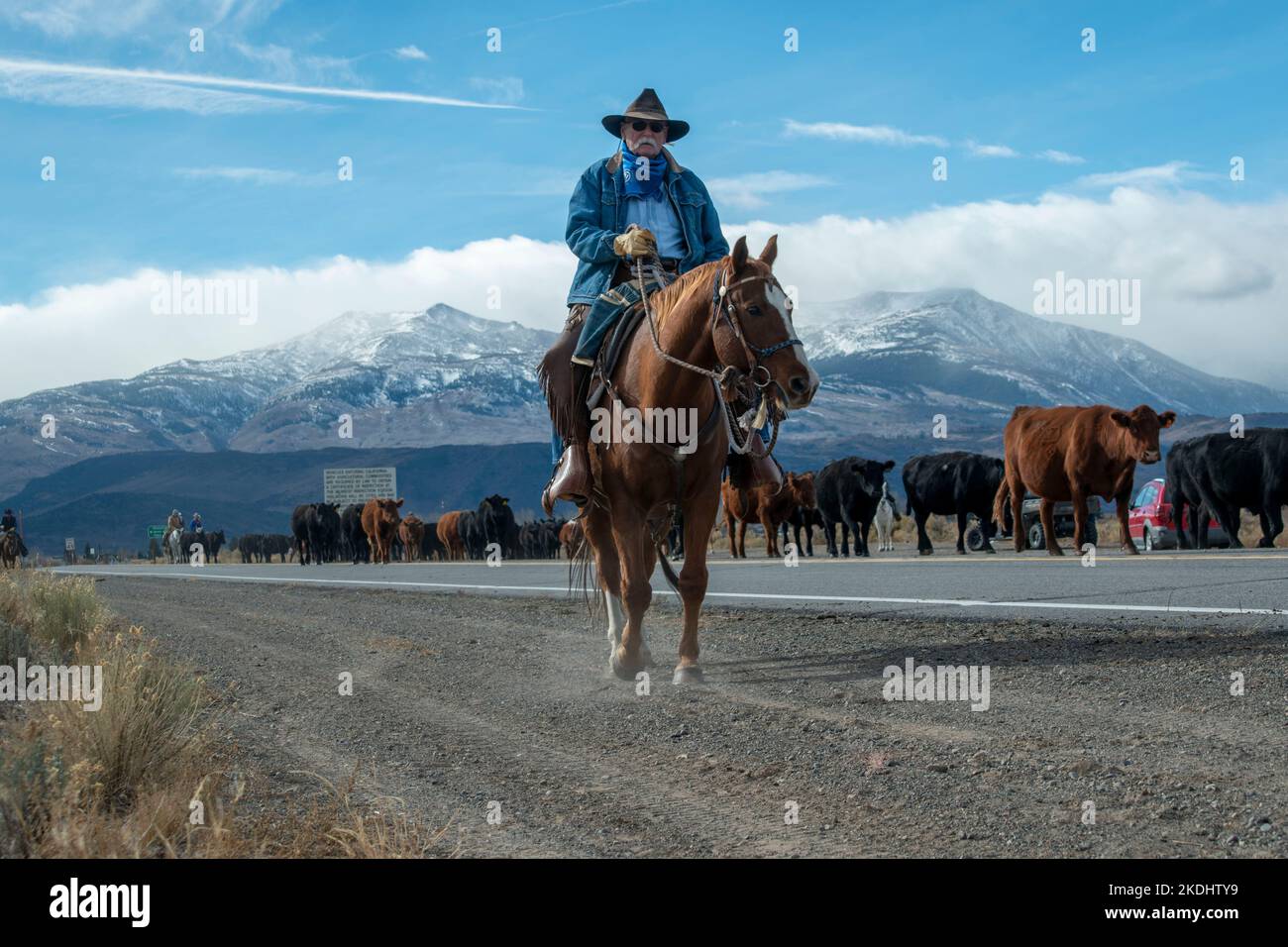The Hunewill Ranch Cattle Drive happens every year in November out of