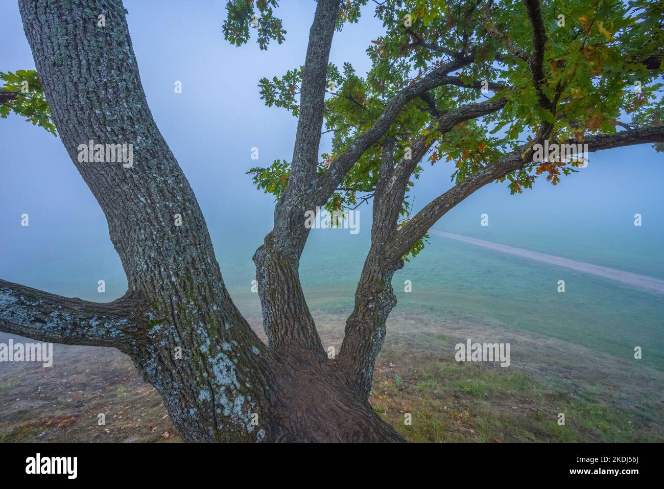Thick fog mountain hi-res stock photography and images - Alamy