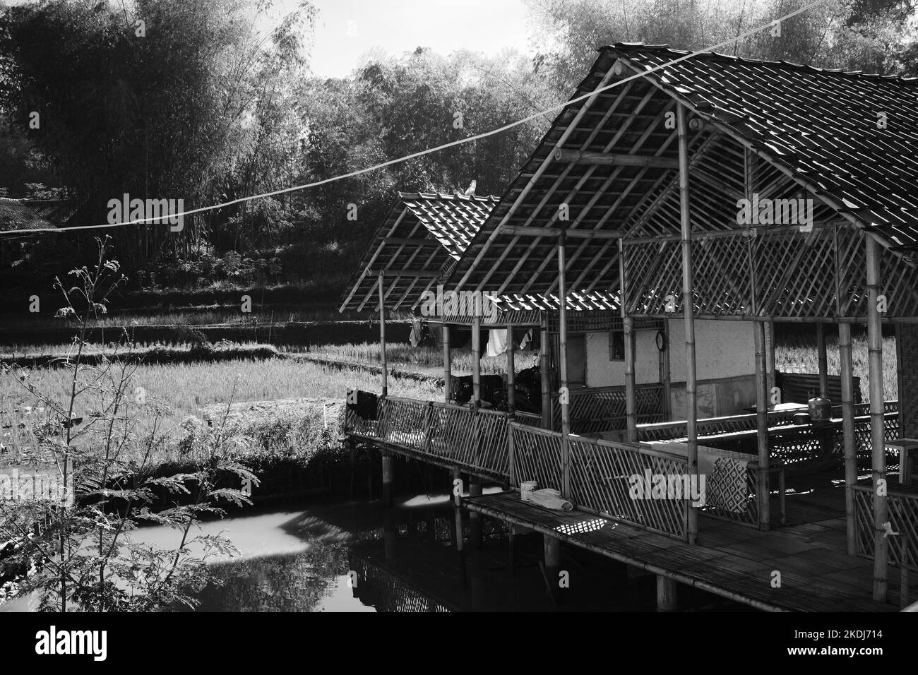 Black and white photo, Monochrome photo of a bamboo hut on the edge of a rice field in the Cikancung area - Indonesia Stock Photo