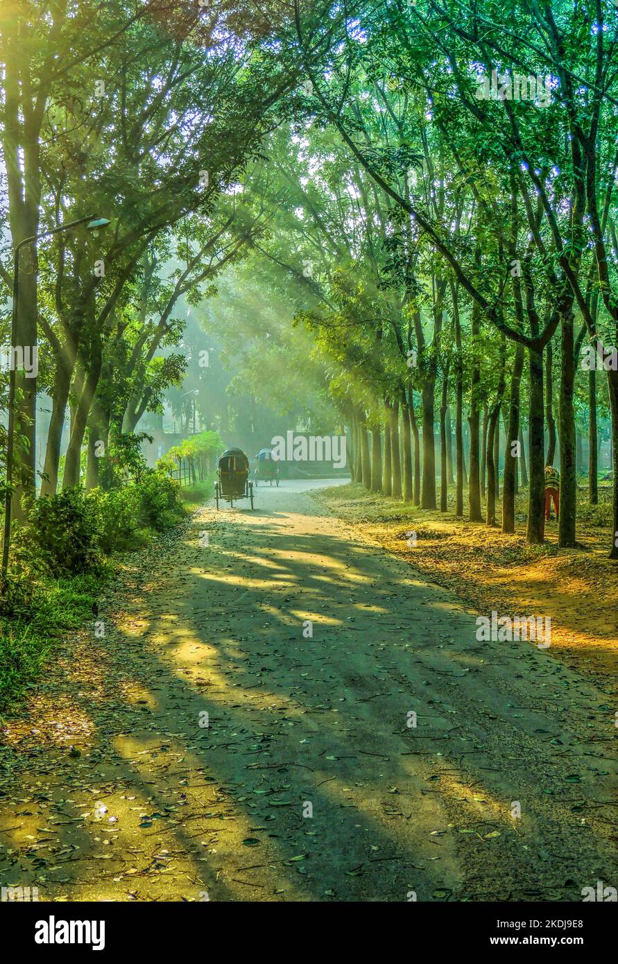 The Rickshaw Puller in a Winter Morning, I have taken this Photograph