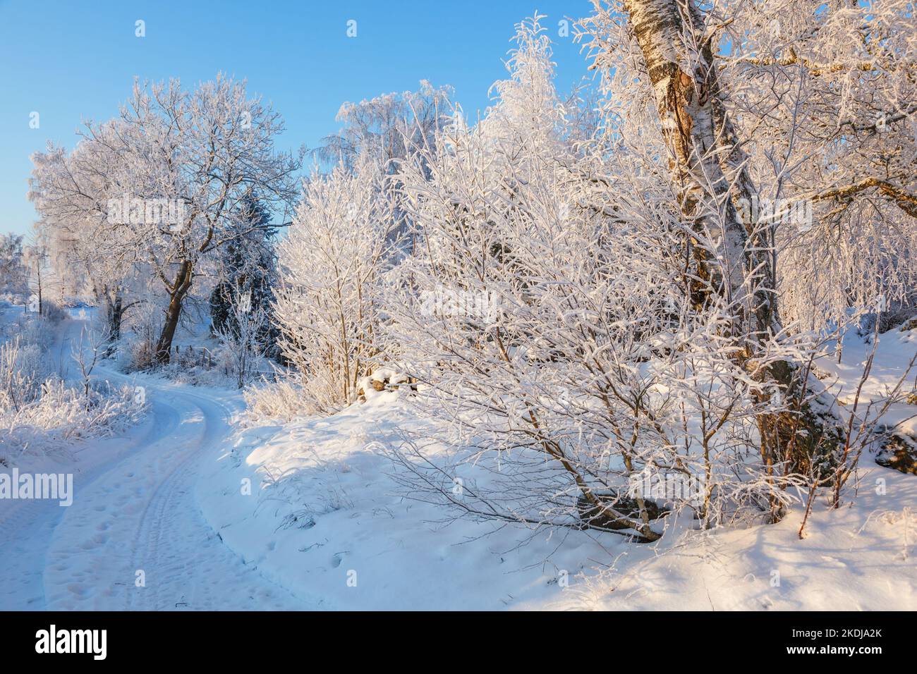 Beautiful snowy winter landscape and a winding dirt road Stock Photo ...
