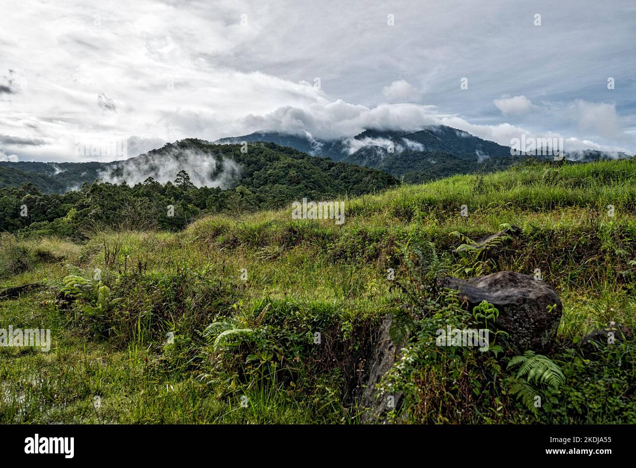 Aetas tribe, Negros island, Philippines Stock Photo - Alamy