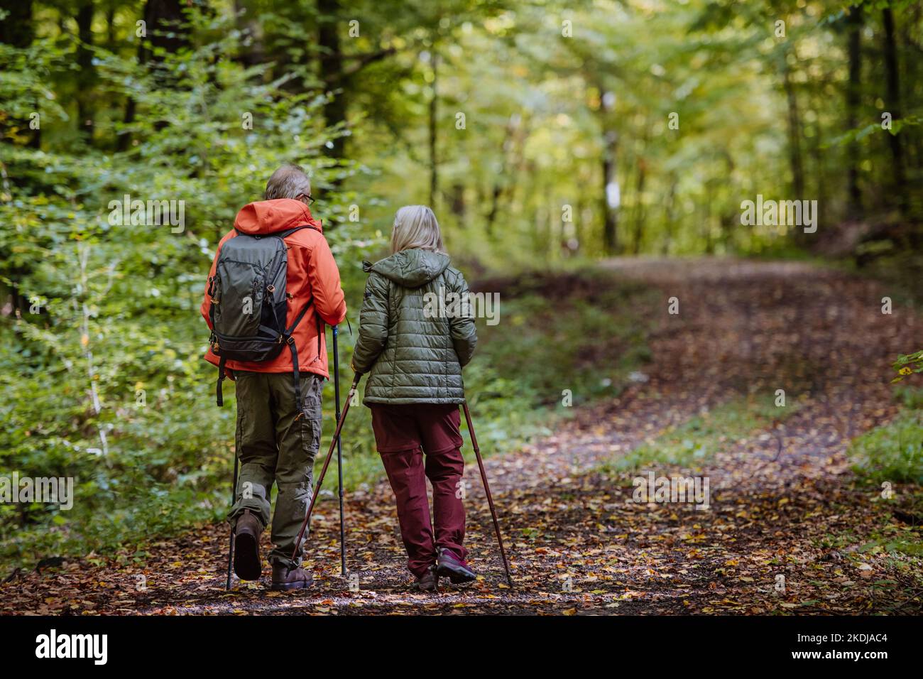 Rear view diverse senior hi-res stock photography and images - Alamy