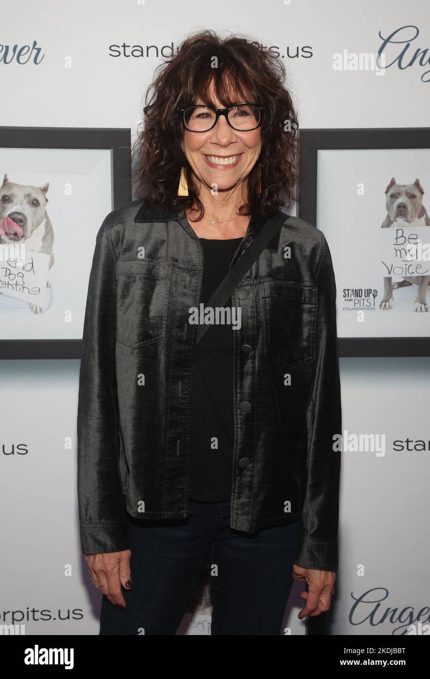 Los Angeles, California, USA. 6th Nov, 2022. Mindy Sterling. Stand ...