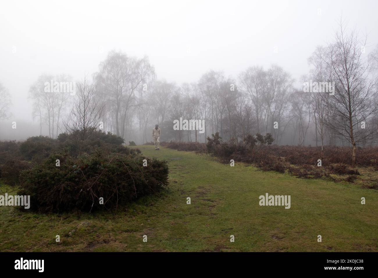 Man walks alone hi-res stock photography and images - Alamy