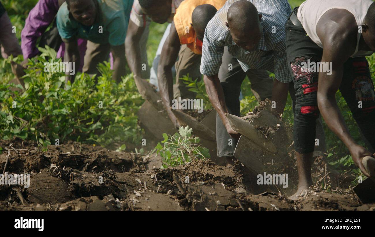 THE GREAT GREEN WALL (2019), directed by JARED P. SCOTT. Credit MAKE Waves / Album Stock Photo