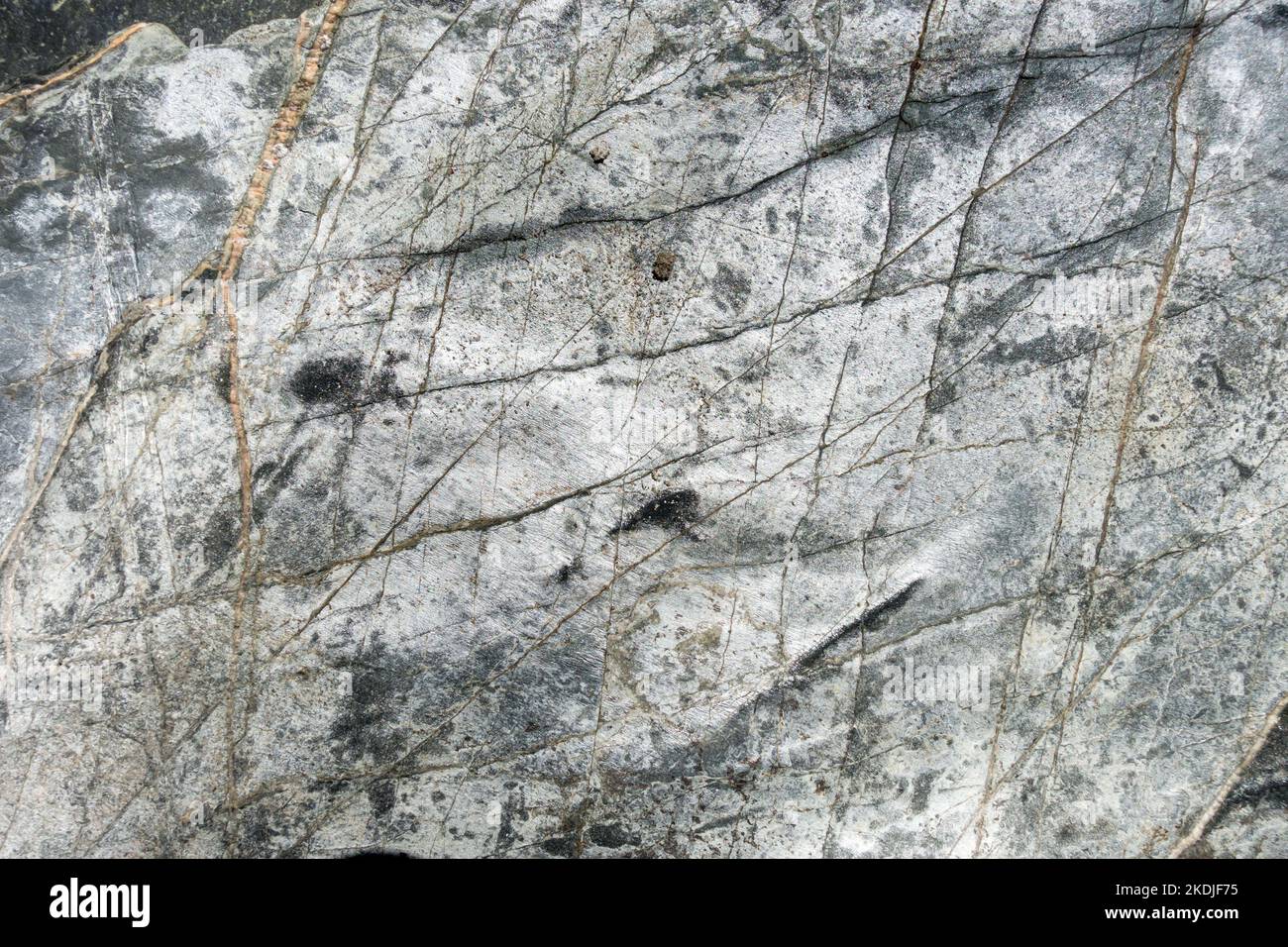 Slate and schist background texture. Closeup view Stock Photo