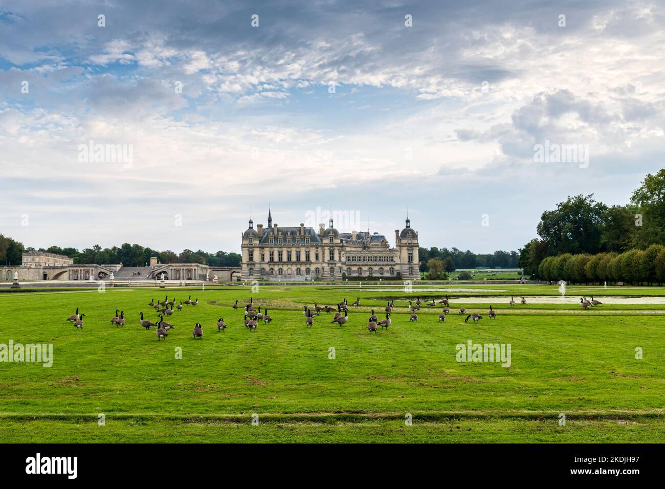 Canada geese in front of the Château de Chantilly in autumn, Oise, France Stock Photo